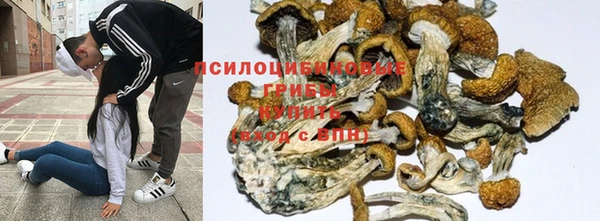 спайс Алзамай