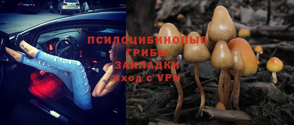 спайс Алзамай