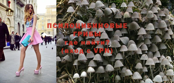 метадон Алексин