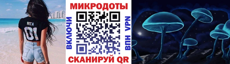 Псилоцибиновые грибы Cubensis  где продают наркотики  Серов 