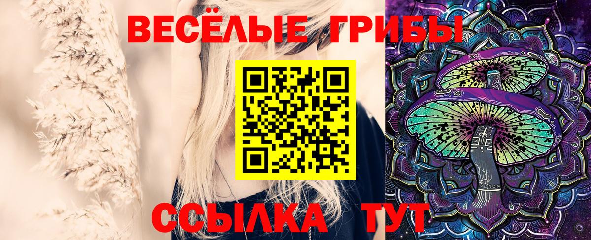 Галлюциногенные грибы MAGIC MUSHROOMS Серов