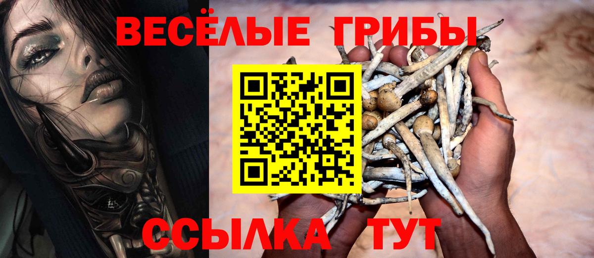 Серов  Галлюциногенные грибы Magic Shrooms  Вход с VPN 