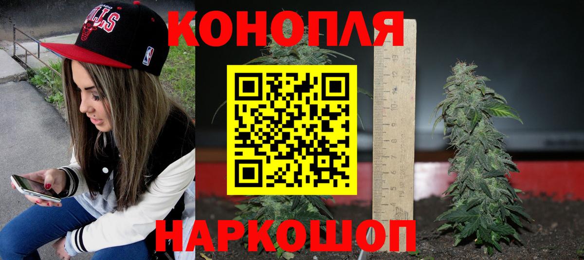 Каннабис MAZAR  Вход с VPN  Бошки Шишки White Widow  Серов  Конопля марихуана 